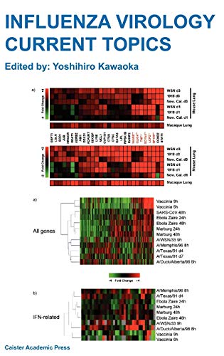 Beispielbild fr Influenza Virology: Current Topics zum Verkauf von Anybook.com