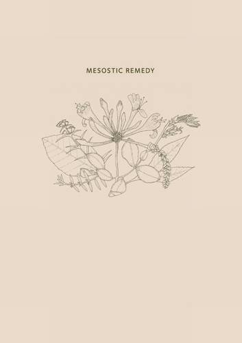 Mesostic Remedy (9781904477075) by Alec Finlay