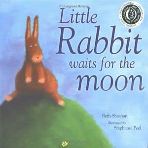 9781904511700: Little Rabbit Waits for the Moon