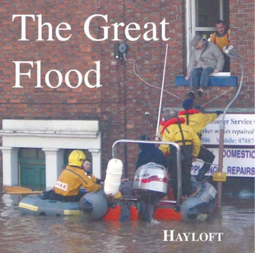 Stock image for The Great Flood: Cumbria 2005 for sale by WorldofBooks