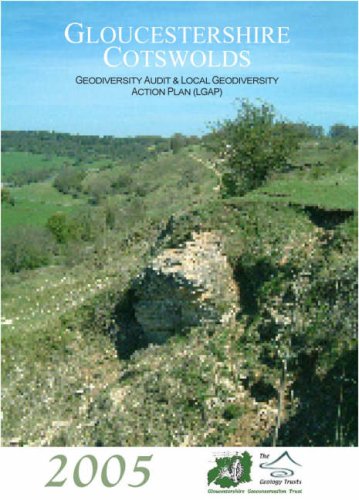 Gloucestershire Cotswolds Geodiversity Audit and Local Geodiversity Action Plan (LGAP) (9781904530077) by David Owen