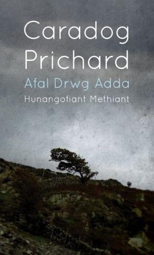 Stock image for Afal Drwg Adda : Hunagofiant Methiant for sale by Better World Books Ltd