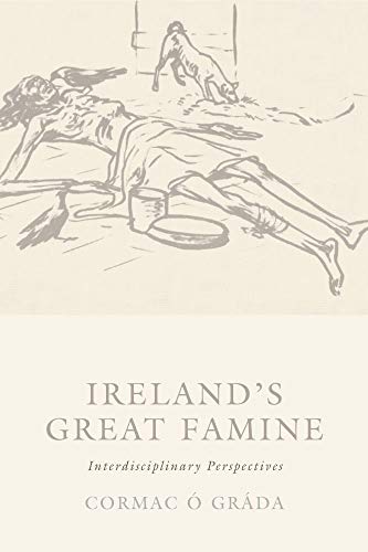 Beispielbild fr Ireland's Great Famine: Interdisciplinary Essays zum Verkauf von WorldofBooks