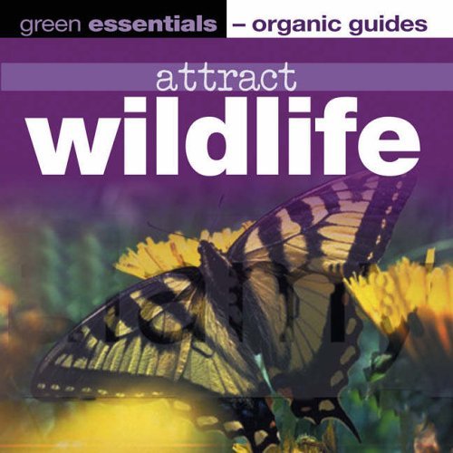 Stock image for Attract Wildlife for sale by Blackwell's