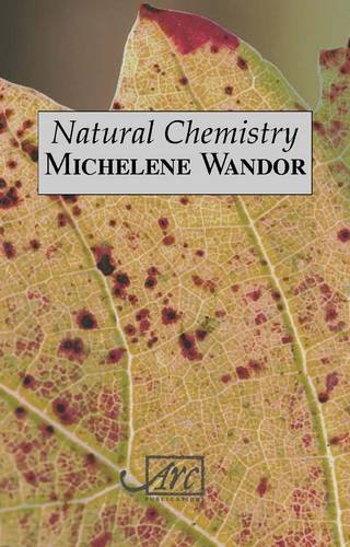 Beispielbild fr Natural Chemistry zum Verkauf von HALCYON BOOKS