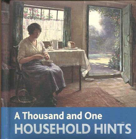 9781904633204: A Thousand and One Household Hints