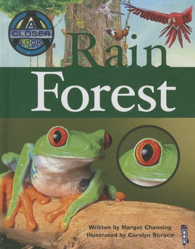 Beispielbild fr Rain Forest zum Verkauf von Better World Books