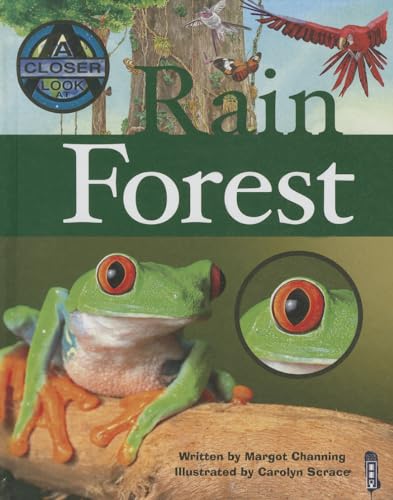 9781904642718: Rain Forest (A Closer Look At)