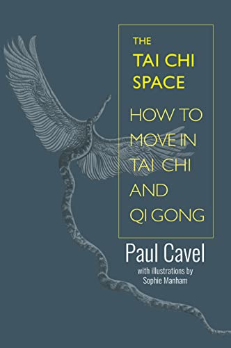 Imagen de archivo de The Tai Chi Space: How to Move in Tai Chi and Qi Gong a la venta por BookHolders