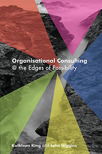 9781904750147: Organisational Consulting: A Relational Perspective: Theories and Stories from the Field (Management, Policy + Education)