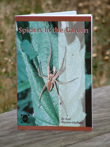 Stock image for Spiders in the Garden for sale by Merandja Books