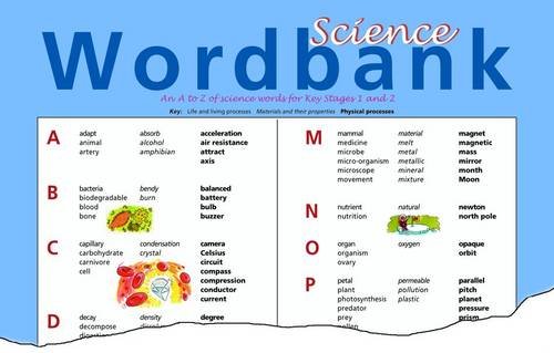 Beispielbild fr Science Wordbank zum Verkauf von PBShop.store US