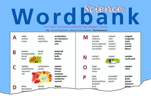 Imagen de archivo de Science Wordbank a la venta por PBShop.store US