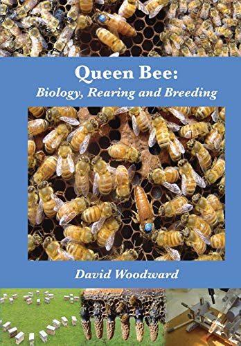 Stock image for Queen Bee for sale by Blackwell's