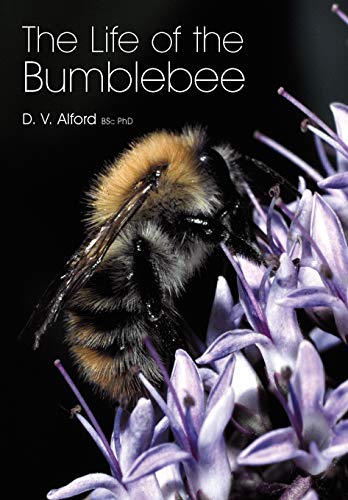 9781904846420: The Life of the bumblebee