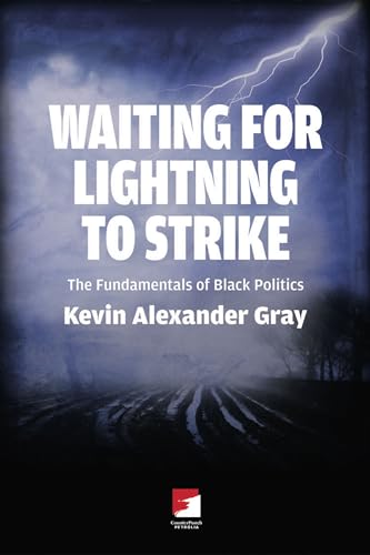 Imagen de archivo de Waiting for Lightning to Strike : The Fundamentals of Black Politics a la venta por Better World Books