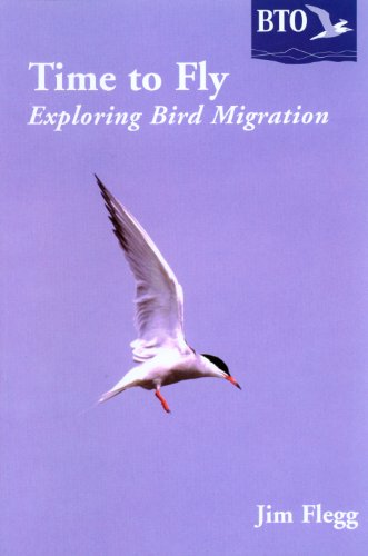 Beispielbild fr Time to Fly: Exploring Bird Migration zum Verkauf von AwesomeBooks