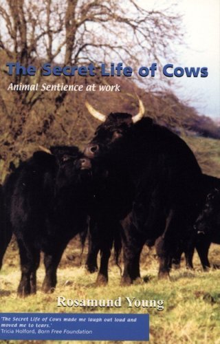 Beispielbild fr The Secret Life of Cows zum Verkauf von WorldofBooks