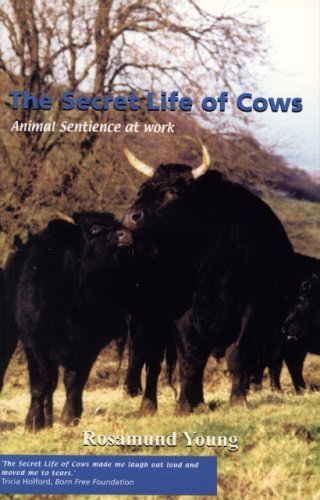 9781904871118: The Secret Life of Cows: Animal Sentience at Work