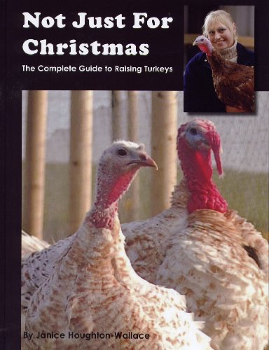 Stock image for Not Just for Christmas: The Complete Guide to Raising Turkeys for sale by J. and S. Daft