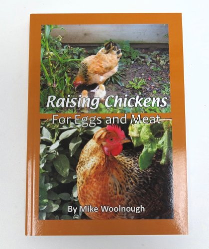 9781904871422: Raising Chickens for Eggs and Meat