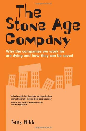 Beispielbild fr The Stone Age Company: Why the companies we work for are dying and how they can be saved zum Verkauf von WorldofBooks