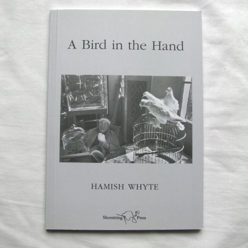 A Bird in Hand (9781904886846) by Hamish Whyte