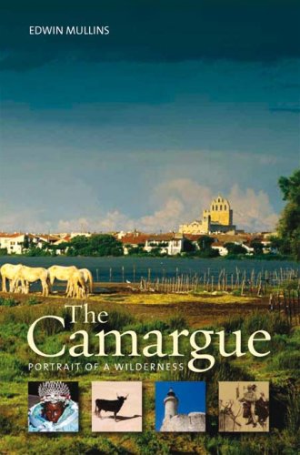 Stock image for Camargue : Portrait of a Wilderness for sale by Better World Books