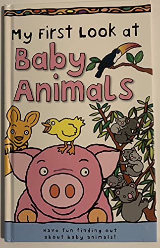 Beispielbild fr My First Look at Baby Animals zum Verkauf von Better World Books