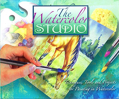 9781904962793: The Watercolor Studio: Techniques