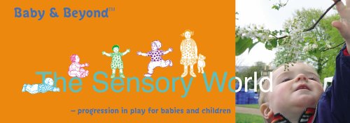 Stock image for The Sensory World: Progression in Play for Babies and Children (Baby and Beyond) for sale by WorldofBooks