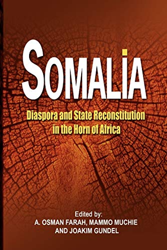 Imagen de archivo de Somalia Diaspora and State Reconstitution in the Horn of Africa a la venta por PBShop.store US