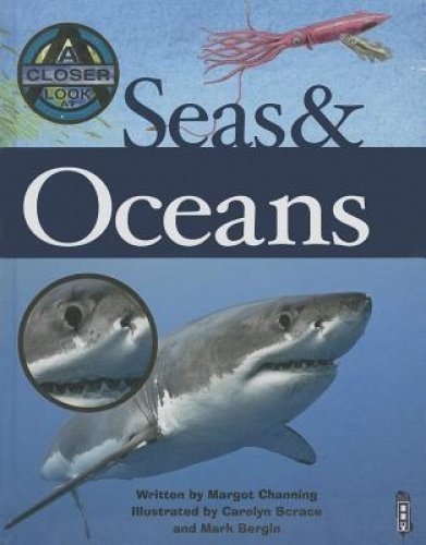 9781905087075: Seas & Oceans (A Closer Look At)
