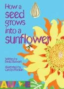9781905087259: How a Seed Grows into a Sunflower (Amaze)