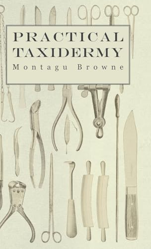 Stock image for Practical Taxidermy - A Manual of Instruction to the Amateur in Collecting, Preserving, and Setting up Natural History Specimens of All Kinds. To . Upon the Pictorial Arrangement of Museums for sale by HPB-Red