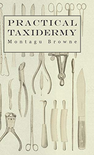 9781905124329: Practical Taxidermy - A Manual of Instruction to the Amateur in Collecting, Preserving, and Setting up Natural History Specimens of All Kinds. To ... Upon the Pictorial Arrangement of Museums