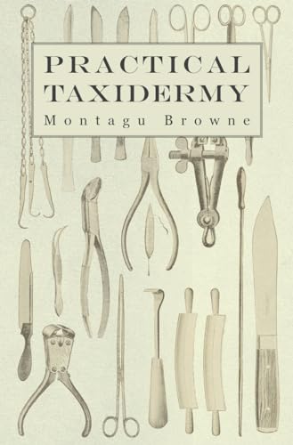 9781905124367: Practical Taxidermy: A Manual of Instruction to the Amateur in Collecting, Preserving, and Setting up Natural History Specimens of All Kinds.: A ... Upon the Pictorial Arrangement of Museums