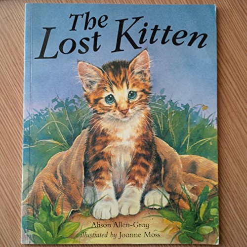 Beispielbild fr The Lost Kitten zum Verkauf von AwesomeBooks