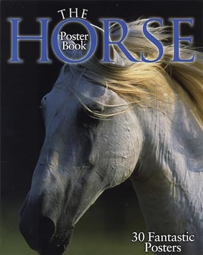 Beispielbild fr The Horse Poster Book zum Verkauf von Your Online Bookstore