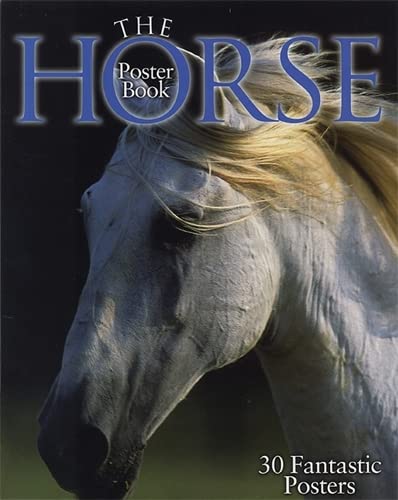 Stock image for The Horse Poster Book for sale by SecondSale