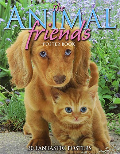 Stock image for Animal Friends Poster Book for sale by AwesomeBooks