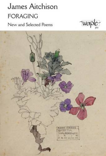 Stock image for Foraging New and Selected Poems for sale by PBShop.store US