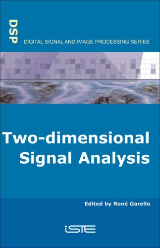 9781905209446: Bi-dimensional Signal Analysis