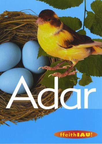 Stock image for Cyfres Ffeithiau! Anifeiliaid: Adar for sale by WorldofBooks