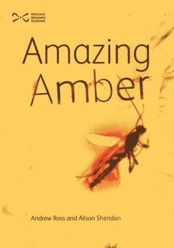 Beispielbild fr Amazing Amber zum Verkauf von WorldofBooks