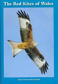 9781905268009: The Red Kites of Wales