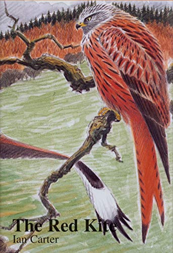 Imagen de archivo de The Red Kite a la venta por AwesomeBooks