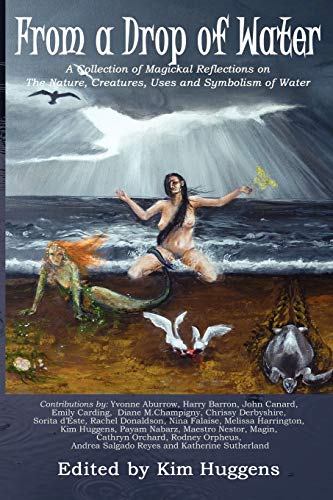 Stock image for From a Drop of Water: A Collection of Magickal Reflections on the Nature, Creatures, Uses and Symbolism of Water for sale by Ergodebooks