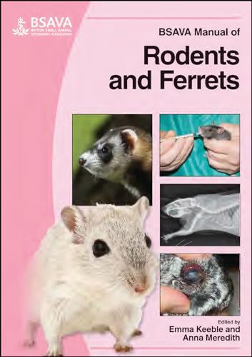 Beispielbild fr BSAVA Manual of Rodents and Ferrets zum Verkauf von Blackwell's