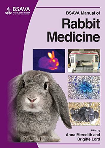 Stock image for BSAVA Manual of Rabbit Medicine for sale by Blackwell's